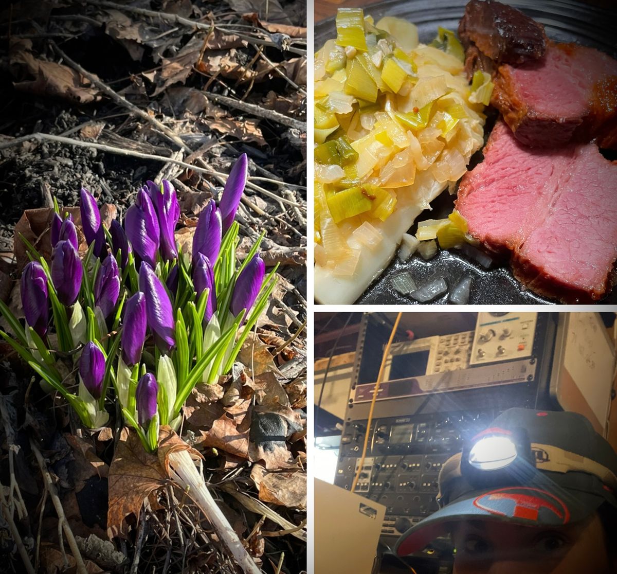 Week Notes: Indeterminism, Passkeys, and Spring