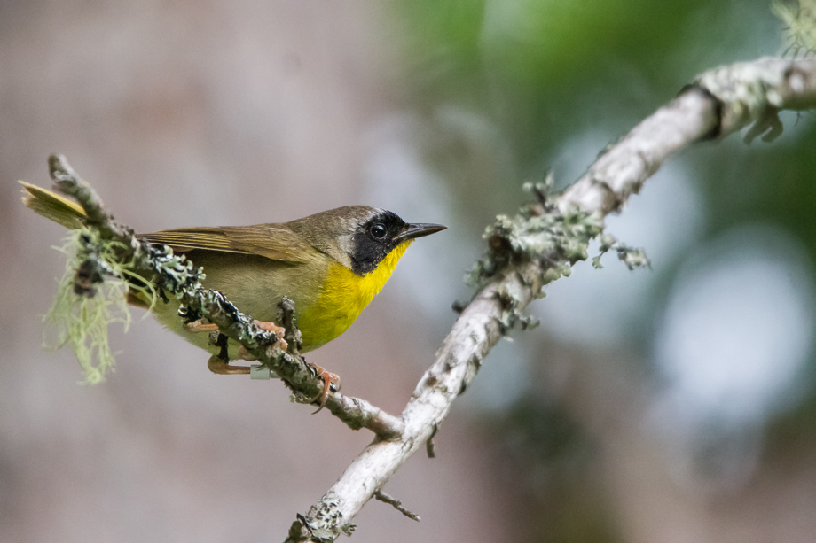 IMG_2363-Edit.jpg